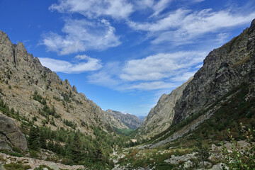 Fototapeta na wymiar Randonnée sur le GR 20 en Corse dans les gorges de la Restonica