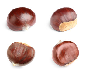 Set of sweet edible chestnuts on white background