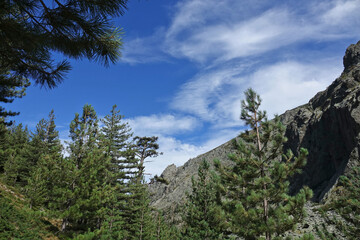 Obraz premium Randonnée sur le GR 20 en Corse dans les gorges de la Restonica