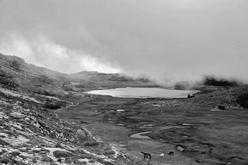 Vue sur les pozzines et le lac de la Bocca a Stazzona avec en arrière plan les massifs du Rotondo et du Cintu