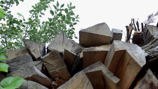 Pile of woods