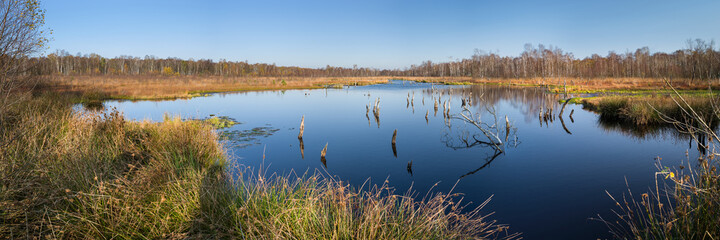 Panorama Wittmoor See Herbst sonnig Naturschutz