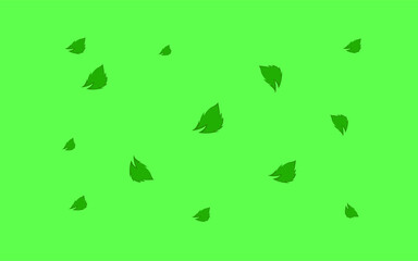 Boatnical Green Leaf Desain Vector