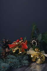 Christmas background with bells and cones on christmas tree branch 