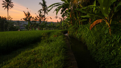 sunset over the river