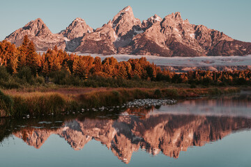 Obraz premium Sunrise glow hits the peaks and trees of the Teton Range of the Rocky Mountains. Schwabacher Landing in Grand Teton National Park, WY, USA. Water reflections of the Teton Range on the Snake River. 