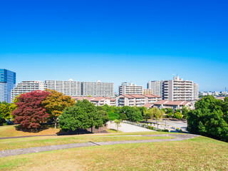 Obraz premium マンションが建ち並ぶ住宅街と色づく木々