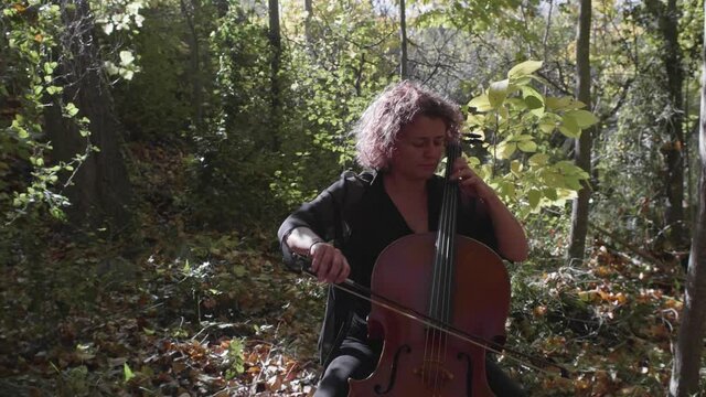 Woman playing the cello in the autumn forest