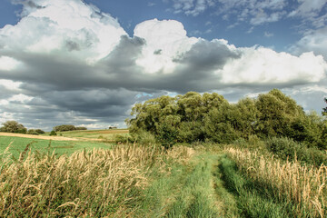 Rural dreamy landscape on sunny summer day.Tranquil calm scenery peaceful atmosphere. Beautiful meadow with grass and trees cloudy sky. Weekend getaway to nature. Scenic background positive energy.