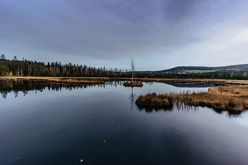 Fototapeta premium Chalupska Moor near village of Borova Lada, Czech republic. Beautiful reflection in a lake with single birch on island in Sumava mountains national park. Colorful autumn sunrise.Famous Czech place.