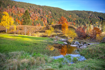 Spiegelung in der Menzenschwander Alb