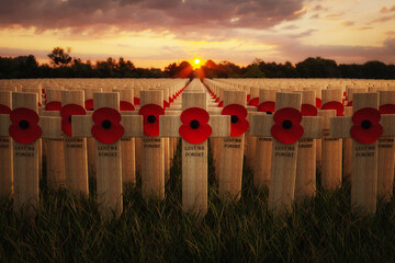 Remembrance poppies on wooden crosses, to commemorate the loss of servicemen in world wars and...