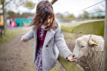 Little girl feeding a white lamb that sticks its snout out of a wire fence