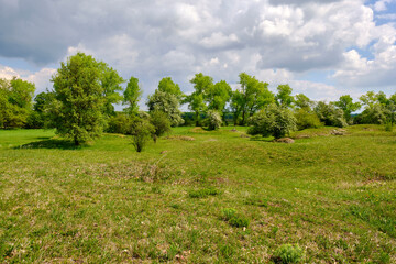 NSG Sulzheimer Gipshügel, Landkreis Schweinfurt, Unterfranken, Bayern, Deutschland