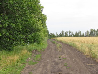 road in the countryside