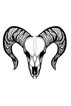 illustration of skull of lamb for tattoo design