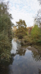 Fototapeta na wymiar water next to the road to the river Rhein from the community Au am Rhein in the region Baden-Wuerttemberg in the month of November, Germany 