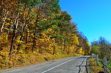 Golden autumn scene in a park, with falling leaves, the sun shining through the trees and blue sky