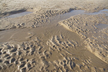 Wave pattern. Ripples in the sand - ridges and runnels left in the sand of the beach of the Dutch village of Bergen aan Zee in autumn. Netherlands, November
