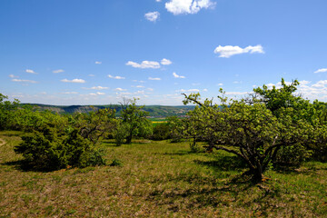 Landschaft im Naturschutzgebiet Mäusberg bei Karlstadt, Landkreis Main-Spessart, Unterfranken, Bayern, Deutschland