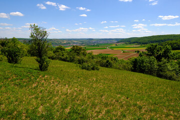 Landschaft im Naturschutzgebiet Mäusberg bei Karlstadt, Landkreis Main-Spessart, Unterfranken, Bayern, Deutschland