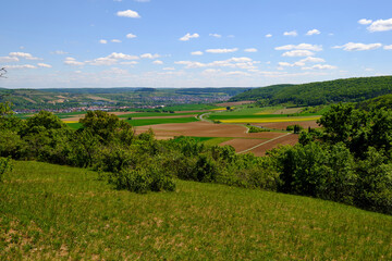 Landschaft im Naturschutzgebiet Mäusberg bei Karlstadt, Landkreis Main-Spessart, Unterfranken, Bayern, Deutschland