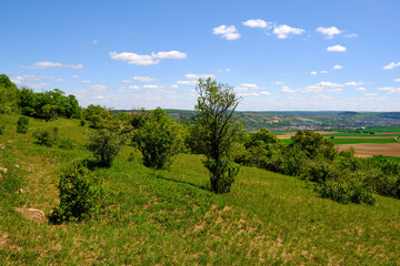 Landschaft im Naturschutzgebiet Mäusberg bei Karlstadt, Landkreis Main-Spessart, Unterfranken,...