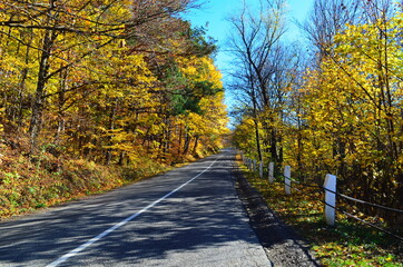 Naklejka premium Golden autumn scene in a park, with falling leaves, the sun shining through the trees and blue sky