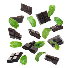 Black chocolate pieces and mint falling on white background