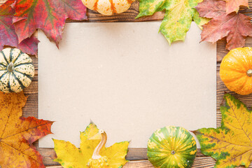 Autumn background, space for thanksgiving day greeting. Red, yellow, green leaves and little decorative pumpkins.
