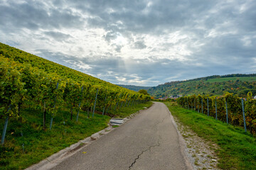 Fototapeta na wymiar Cloudy sky over a vineyard landscape with road