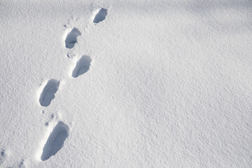 The texture of the snow. Winter rainfall. Tracks on a snowy road after a snowfall.