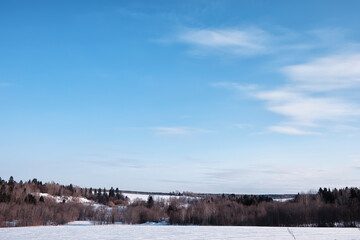 Winter forest landscape. Tall trees under snow cover. January frosty day in the park.