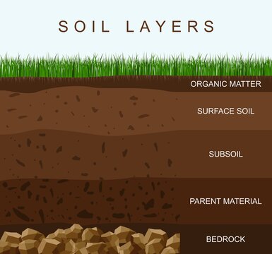 Soil layers diagram earth texture, stones. Ground with green grass on top. Mineral particles, sand, humus and stones, natural fertilizer. Geology infographics. Education for kids. Vector illustration