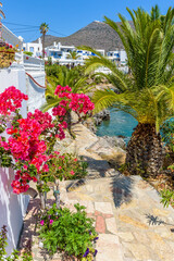 Traditional alley with narrow street, whitewashed houses and a blooming bougainvillea  in Avlemona Kythira  island, Greece.