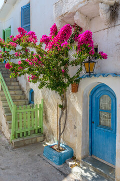 Traditional alley with narrow street, whitewashed houses and a blooming bougainvillea  in mylopotamos Kythira  island, Greece.