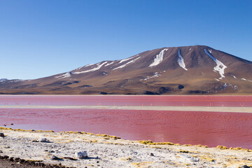 Laguna Colorada view, Bolivia