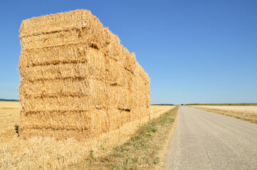 Bales of straw on a on a harvested wheat field, on a plain. Cereal culture