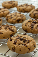 Close up of chocolate chip cookies on a silver cooling rack  