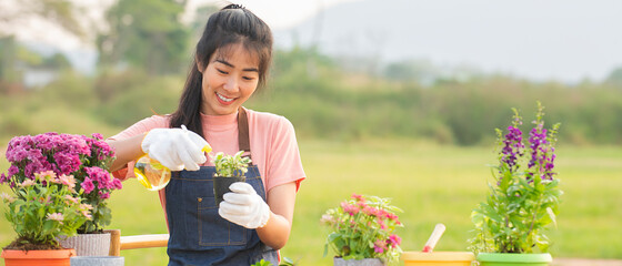 Young asian woman with  glove planting flower  in garden at outdoor