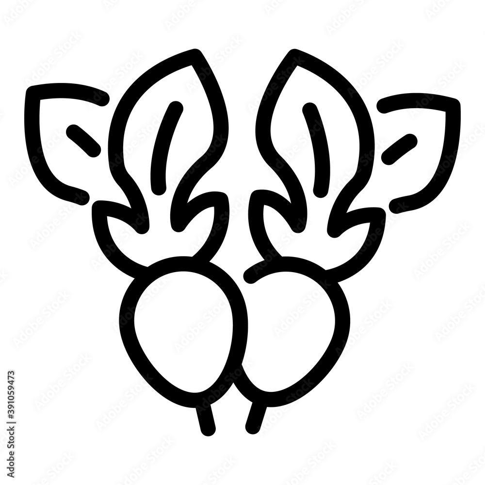 Poster radish icon. outline radish vector icon for web design isolated on white background