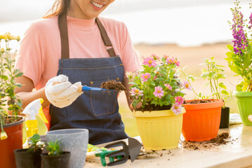 Close up on smiling  young asian woman with  glove planting flower  in garden at outdoor