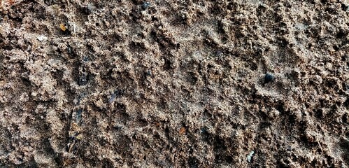 Dirty​ sand​ on​ the​ beach​