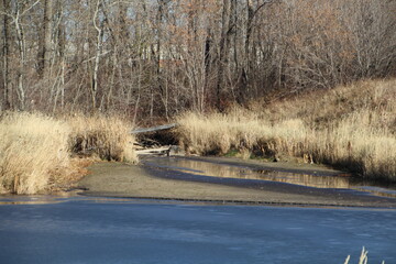 November On The Creek, Pylypow Wetlands, Edmonton, Alberta