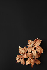 Christmas flowers on a black background, a composition with flowers on the table, vertical view 