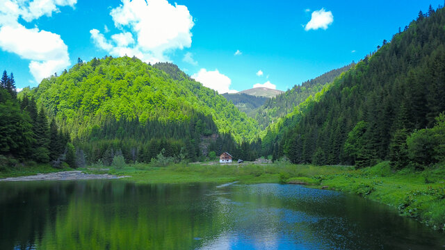A cabin near Balota Lake, at the feet of Balota peak, Capatanii Mountains, Carpathia, Romania.