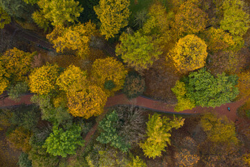 Aerial view on park in autumn from drone