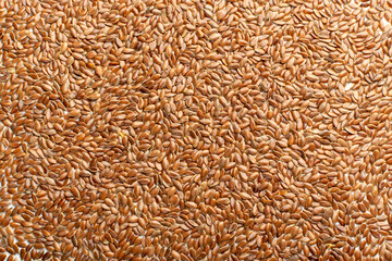 Dry Raw Unpeeled Rice Grains Texture Background