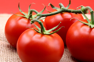 organic and fresh red tomatoes © aykutkarahan