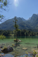Berchtesgaden lake Hintersee with trees in foreground and mountains in the background on a summer day